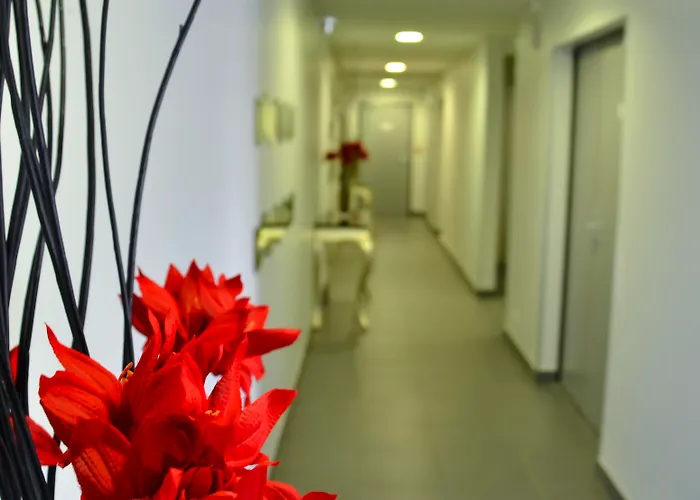 Appart hôtel Adonis 3*